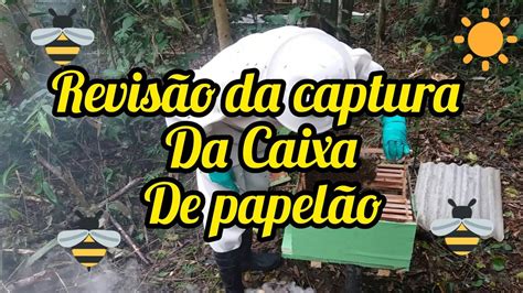 Revis O Da Captura Da Caixa De Papel O Abelhas Schmitz Youtube