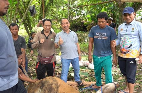 Peringati Idul Adha H Dlh Provinsi Kalteng Selenggarakan