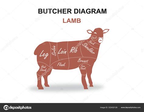 Cut Beef Set Poster Butcher Diagram Scheme Cow Vector Illustration Stock Vector By ©mitay20