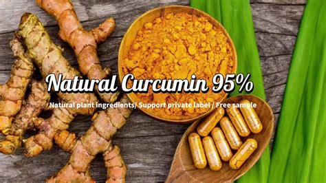 Organic Natural Turmeric Extract Curcumin Bulk Curcumin 95 Extract Powder Buy Curcumin 95