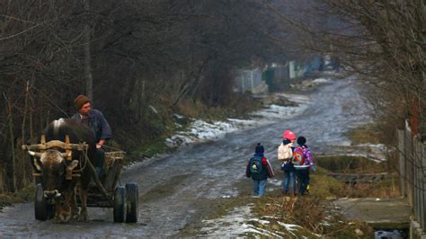 Ce a furat un hoț dintr un magazin al unui sat din județul Vaslui