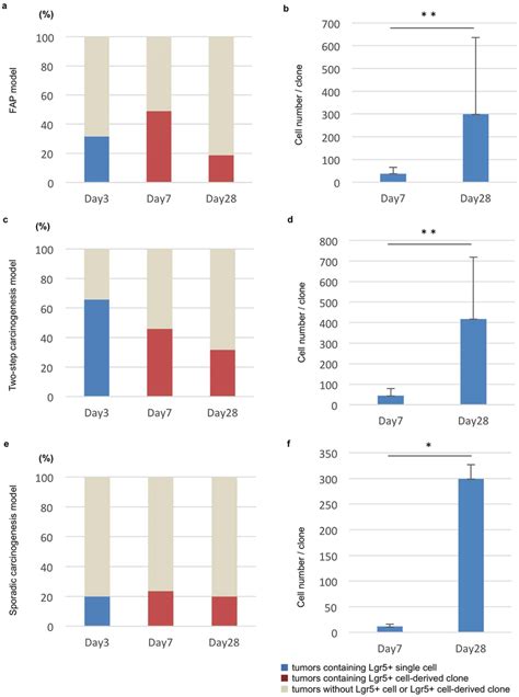 Existence And Manner Of Clonal Expansion Of Lgr Cells In Developing