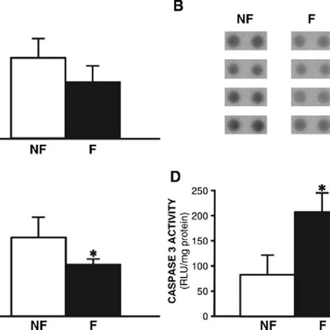 X Linked Inhibitor Of Apoptosis Protein Xiap Levels And Caspase