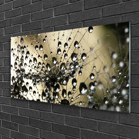 Brayden Studio Glasbild Dandelion Floral Wayfair De