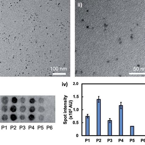 I And Ii Tem Images Of Prepared Cdte Cds Qds Iii Fluorescence