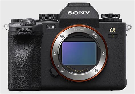 The Best Mirrorless Cameras in 2021 - Top Tech News