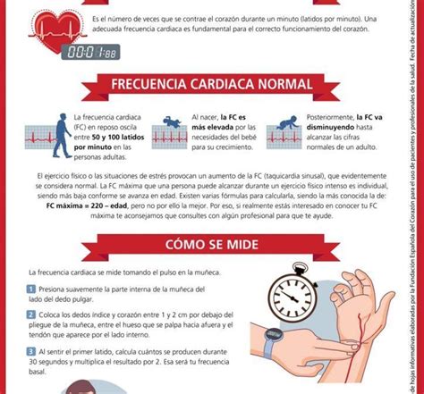 ¿cuál Es La Frecuencia Cardiaca Considerada Normal ¿y Cómo Se Mide Correctamente Cmc