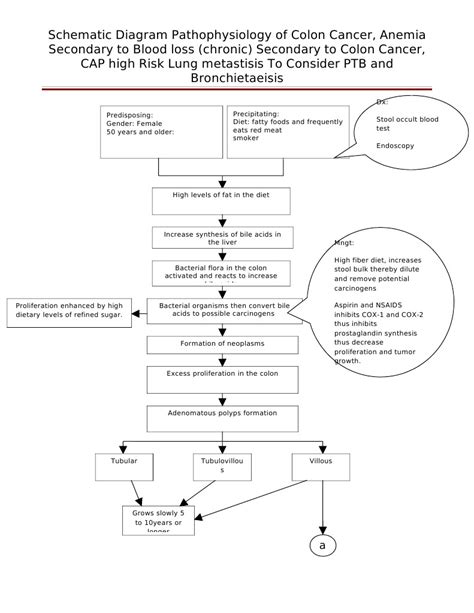 Diagram Of Pathophysiology Cancer Colorectal Cancer Large Intestine