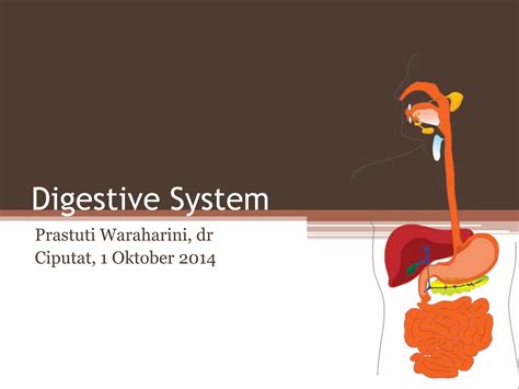 Anatomi Fisiologi Sistem Pencernaan Ppt