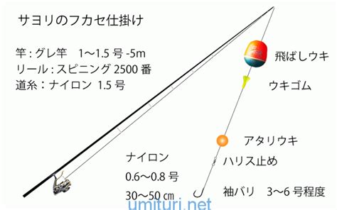 堤防でサヨリを釣る！サヨリ釣りの仕掛けと狙い方 釣りおじさんの釣りネタ帳