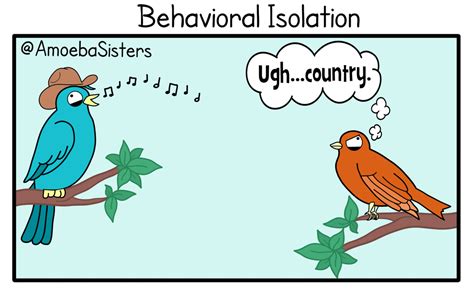 All Of These Reproductive Isolation Types Can Lead To Speciation 1 Of