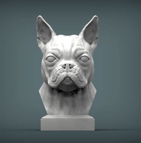 Stl File Boston Terrier 3d Print Model 👤・3d Printable Design To Download・cults