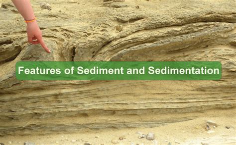 Sediment Definition Javatpoint