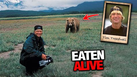 Grizzly Bear Horribly Mauled Timothy Treadwell Alive On Camera YouTube