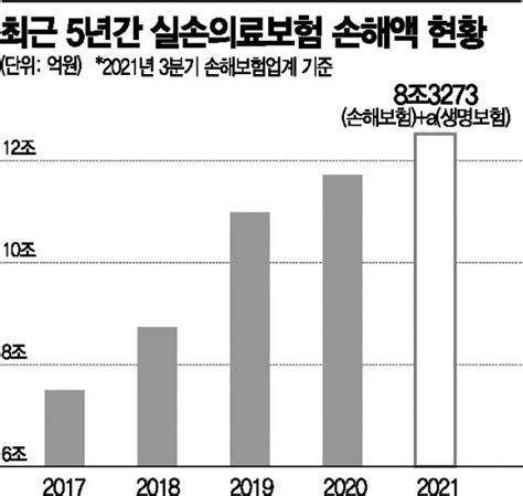 보험료 폭탄 현실로내년 실손보험 인상률 평균 142 네이트 뉴스