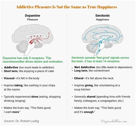 What Does Serotonin Syndrome Feel Like Serotonin Syndrome Symptoms