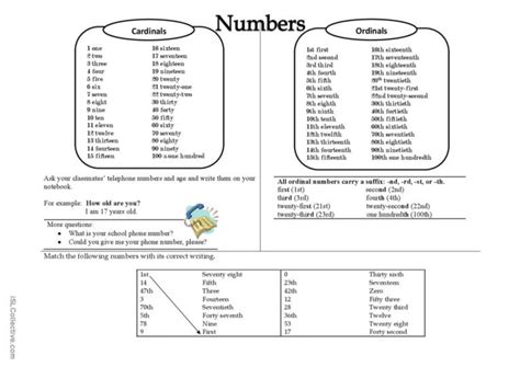 Cardinal And Ordinal Numbers English Esl Worksheets Pdf And Doc