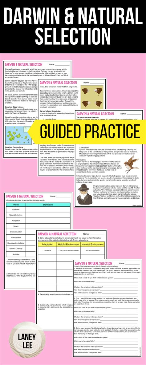 Darwins Natural Selection Worksheets Answer Key