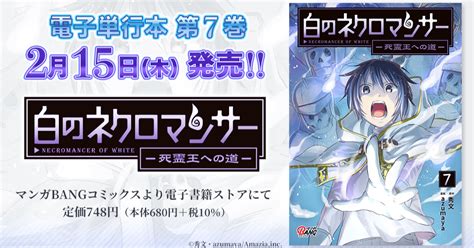 Cover for White Necromancer: The Path to the Dead King