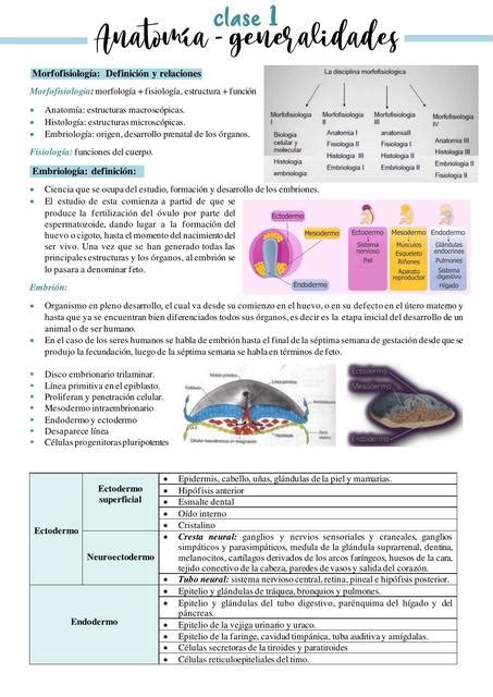 Resúmenes de Morfofisiología humana Descarga apuntes de