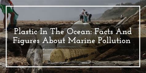 Plastic In The Ocean: Facts And Figures About Marine Pollution ...