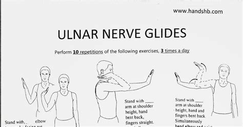 Ulnar Nerve Glides Printable