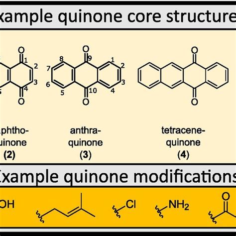structural diversity  naturally occurring quinones  quinone