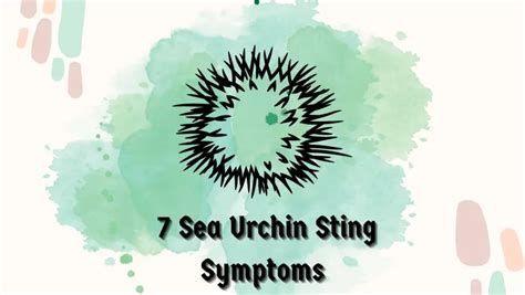 How Does Temperature Affect Sea Urchins Major Impacts