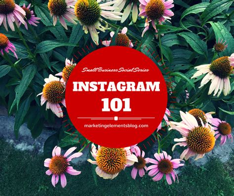 Sbss Instagram Strategy Marketing Elements By Timothy Goleman