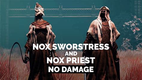 Nox Swordstress And Nox Priest Sellia Town Of Sorcery Solo No