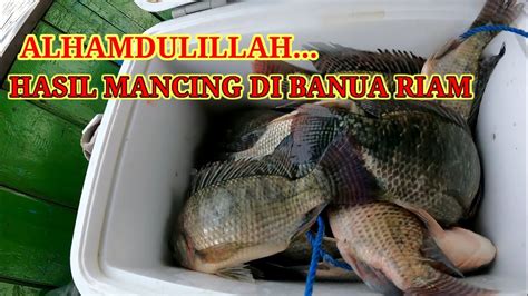 Banua Riam Mancing Ikan Nila Liar Di Waduk Riam Kanan Umpan Cacing