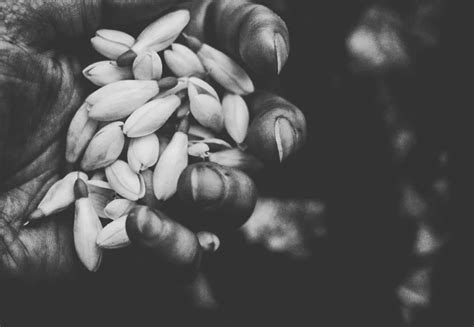 Cold-Pressed Oils | INKY Ingredients