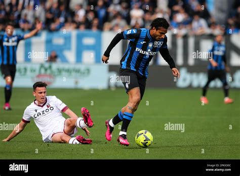 Ederson atalanta hi-res stock photography and images - Alamy