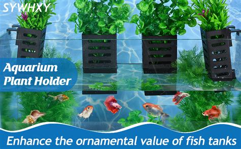 Amazon Sywhxy Pcs Aquarium Plant Holder Hanging Aquarium Plant