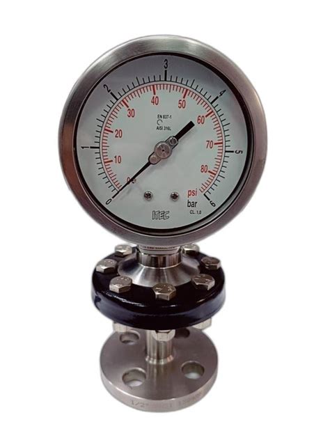 10 Inch 250 Mm ITEC Sealed Diaphragm Pressure Gauge 250 PSI At