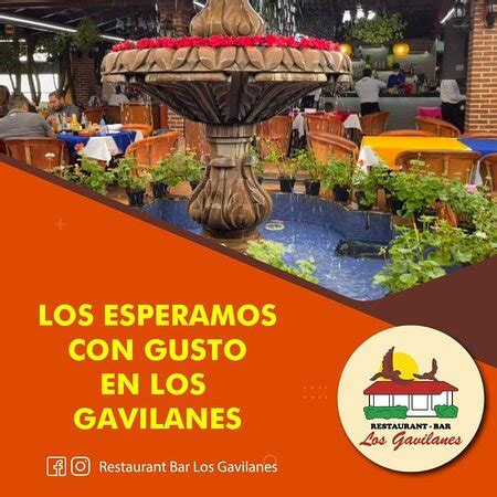 Restaurante Bar Los Gavilanes Menu Prices Restaurant Reviews