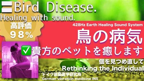 Bird Disease Relax Healing Music With Dr Rife