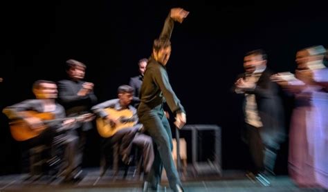 Audiciones Para El Ballet Flamenco De Andaluc A Danza Es