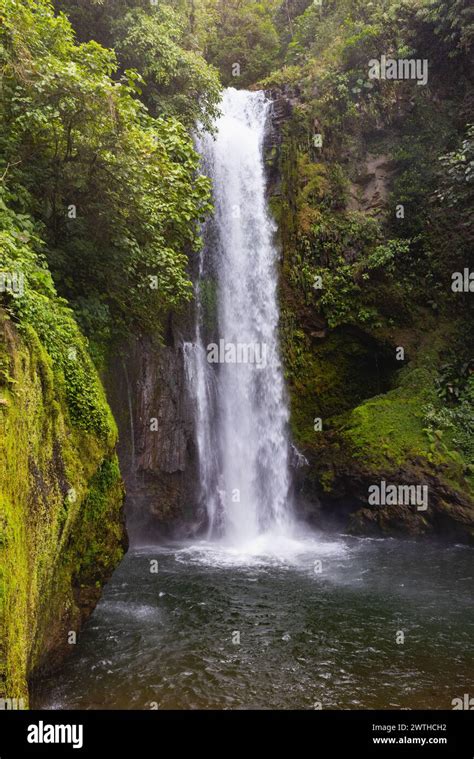 Waterfall in La Paz Waterfall Gardens Nature Park, Alajuela, Alajuela ...