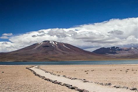 Tour Full Day Altiplanic Lagoons And Viewpoint Of Piedras Rojas 2022