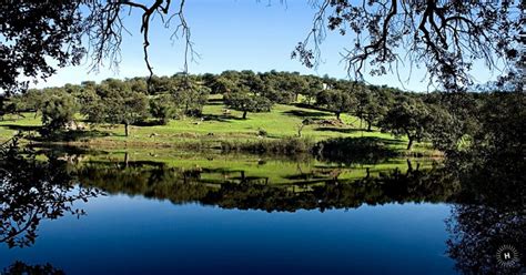 Conoce El Parque Natural Sierra De Aracena Y Picos De Aroche