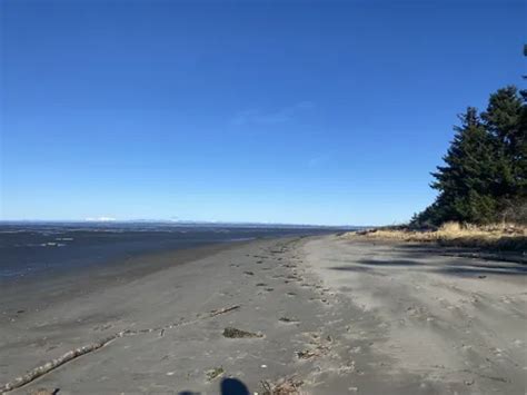 Best Hikes And Trails In Bottle Beach State Park Alltrails