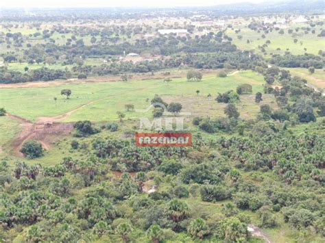 Mil Fazendas Fazenda De Alqueires Hectares Em Nova Crixas Go