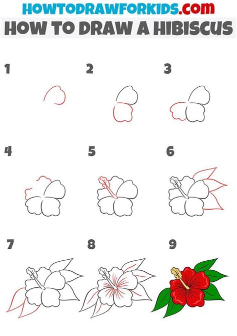 How To Draw A Hibiscus Step By Step Hibiscus Drawing Hawaiian Flower