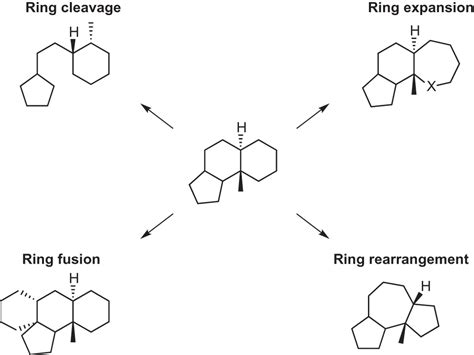 Skeletal Editing Chemistrys Next Frontier Berkeley Scientific Journal