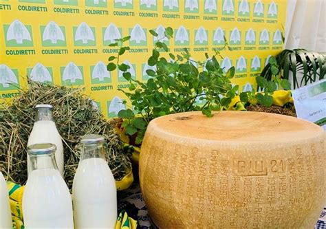 Caseifici Aperti Alla Scoperta Del Parmigiano Reggiano Con Le Aziende