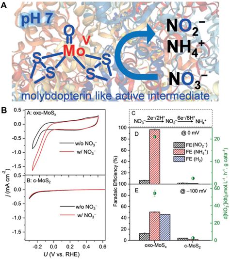 Nitrate Reductase Nrase Like Activity Of Mobased Nanozymes A An