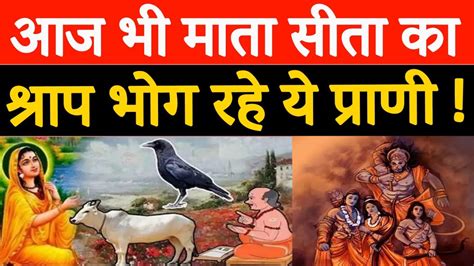 Ram Mandir जानिए क्यों दिया था माता सीता ने इन 3 को श्राप Aaj Tak Bharat Ayodhyarammandir