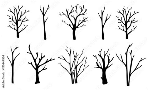 Naked Trees Silhouettes Set Hand Drawn Isolated Illustrations Stock