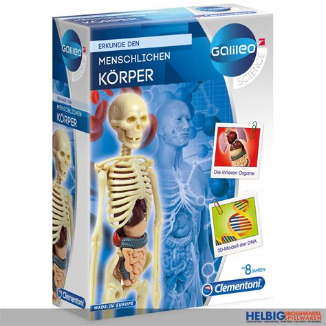 Galileo Lab Der Menschlichen K Rper Mini Set Anatomie